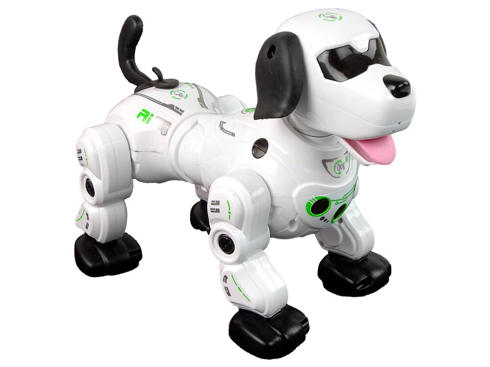 Žaislinis gyvūnas Lean Toys Robot Doggy, 25 cm kaina ir informacija | Žaislai mergaitėms | pigu.lt