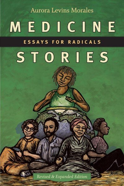 Medicine Stories: Essays for Radicals Revised цена и информация | Istorinės knygos | pigu.lt