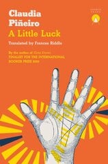 Little Luck цена и информация | Fantastinės, mistinės knygos | pigu.lt