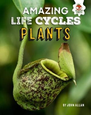 Plants - Amazing Life Cycles цена и информация | Knygos paaugliams ir jaunimui | pigu.lt