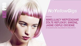 Geltonus atspalvius neutralizuojantis šampūnas dažytiems plaukams KayPro AntiYellowGigs, 350 ml kaina ir informacija | Šampūnai | pigu.lt