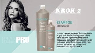 Raminanti galvos odos kaukė su baltuoju moliu Kaypro Purage, 1000 ml kaina ir informacija | Priemonės plaukų stiprinimui | pigu.lt