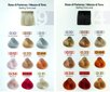 Plaukų dažai KayPro Bleach & Color Cherry, 70 g kaina ir informacija | Plaukų dažai | pigu.lt