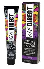 Plaukų dažai KayPro intense direct color Purple, 100 ml kaina ir informacija | Plaukų dažai | pigu.lt