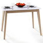 Valgomojo stalas Pegasus 102, rudas/baltas kaina ir informacija | Virtuvės ir valgomojo stalai, staliukai | pigu.lt