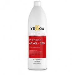 Oksidantas Alfaparf Yellow Peroxide 40 VOL 12%, 1000 ml kaina ir informacija | Plaukų dažai | pigu.lt