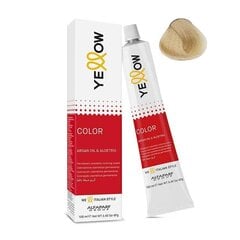 Plaukų dažai Alfaparf Yellow Permanent Coloring Cream Nr. 10, 100 ml kaina ir informacija | Plaukų dažai | pigu.lt