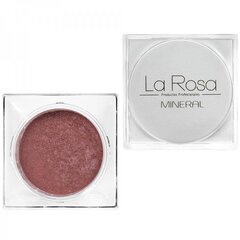 Skaistalai La Rosa Nr.66 Peach, 4.5 g kaina ir informacija | Bronzantai, skaistalai | pigu.lt