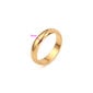 Paauksuotas vestuvinis žiedas I-Style kaina ir informacija | Žiedai | pigu.lt