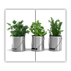 Tulup pjaustymo lentelė Aromatiniai augalai, 2x30x52 cm kaina ir informacija | Pjaustymo lentelės | pigu.lt