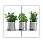 Tulup pjaustymo lentelė Aromatiniai augalai, 2x30x52 cm цена и информация | Pjaustymo lentelės | pigu.lt