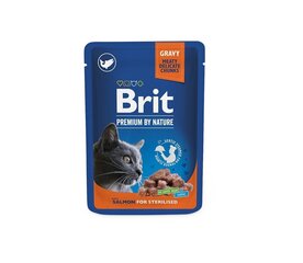 Brit Premium Pouch sterilizuotoms katėms su lašiša, 24x100g kaina ir informacija | Konservai katėms | pigu.lt