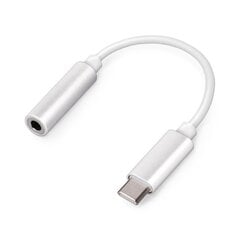 Adapteris USB-C- jack 3,5mm, Setty цена и информация | Setty Компьютерная техника | pigu.lt