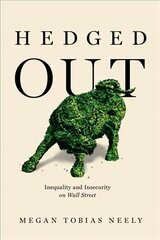 Hedged Out: Inequality and Insecurity on Wall Street kaina ir informacija | Ekonomikos knygos | pigu.lt