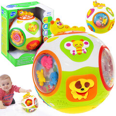 Kamuoliukas su garsais ir šviesa Hola Magic Ball kaina ir informacija | Žaislai kūdikiams | pigu.lt