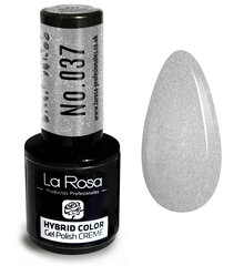 Hibridinis nagų lakas La Rosa 037 Silver, 9 ml kaina ir informacija | Nagų lakai, stiprintojai | pigu.lt