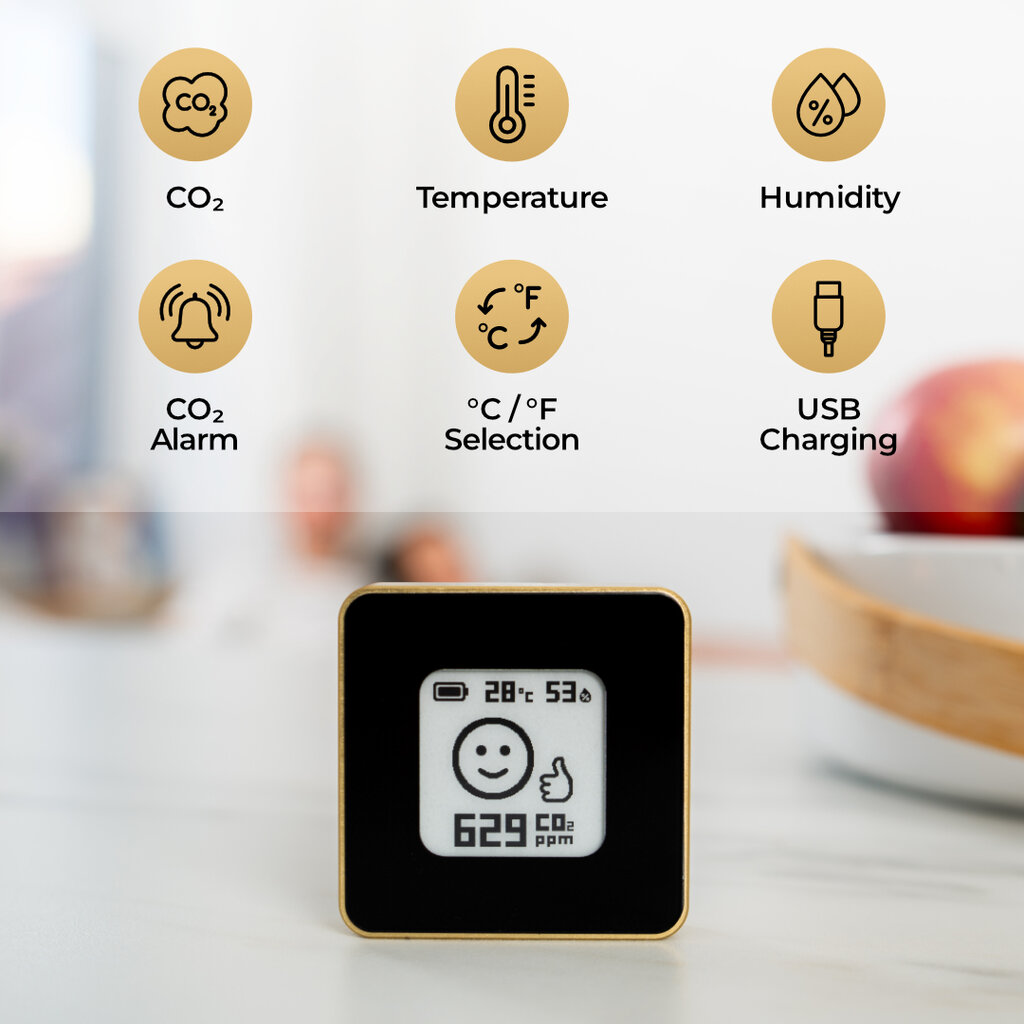 Oro kokybės matuoklis Airvalent Silver Marble kaina ir informacija | Meteorologinės stotelės, termometrai | pigu.lt