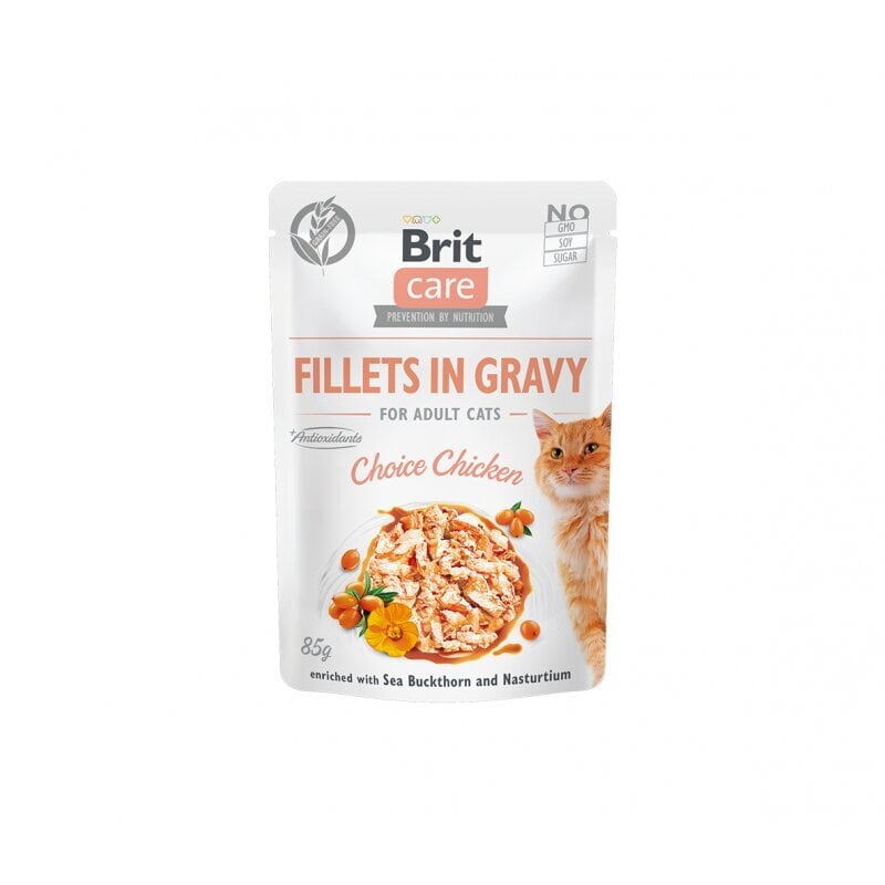 Brit Care Fillets in Gravy su vištiena, 24x85 g kaina ir informacija | Konservai katėms | pigu.lt