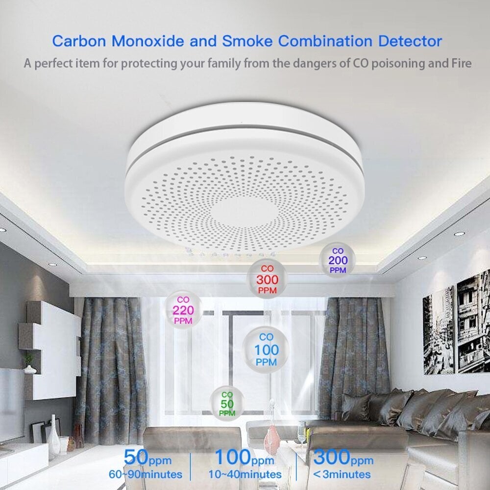 Išmanusis dūmų ir CO2 jutiklis Tuya Feelspot FS-CSS01W цена и информация | Dūmų, dujų detektoriai | pigu.lt