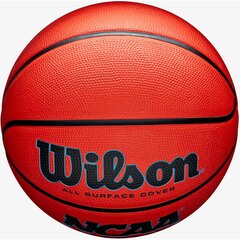 Баскетбольный мяч Wilson NCAA Elevate, размер 7 цена и информация | Баскетбольные мячи | pigu.lt