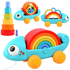 Dėlionė Montessori chameleonas kaina ir informacija | Lavinamieji žaislai | pigu.lt