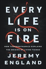 Every Life Is On Fire: How Thermodynamics Explains the Origins of Living Things цена и информация | Книги по экономике | pigu.lt