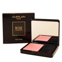 Skaistalai Guerlain Rose Aux Joues 02 Chic Pink 6,5 g цена и информация | Бронзеры (бронзаторы), румяна | pigu.lt