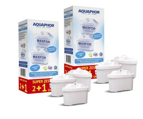 Aquaphor B100-25, 6 ​​vnt.. цена и информация | Фильтры для воды | pigu.lt