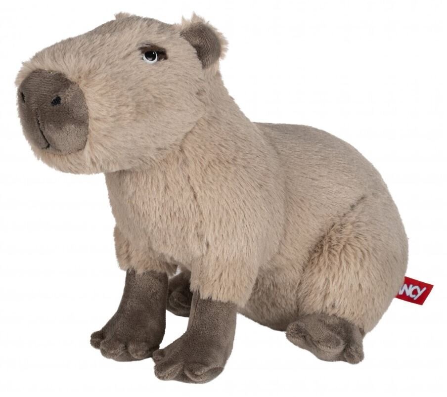 Minkštas pliušinis žaislas Kapibara 20 cm kaina ir informacija | Minkšti (pliušiniai) žaislai | pigu.lt