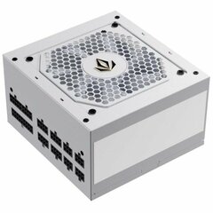 Блок питания для игрового компьютера Forgeon Bolt PSU 850W цена и информация | Блоки питания (PSU) | pigu.lt