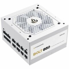 Блок питания для игрового компьютера Forgeon Bolt PSU 850W цена и информация | Блоки питания (PSU) | pigu.lt