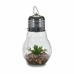 Žibintas lemputė Gift Decor, 8 vnt. kaina ir informacija | Lauko šviestuvai | pigu.lt