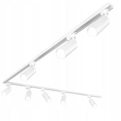 Подвесной потолочный светильник Ledlux цена и информация | Потолочные светильники | pigu.lt