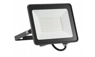Halogeninė lempa-prožektorius LED 4500 lm 50 W kaina ir informacija | Žibintuvėliai, prožektoriai | pigu.lt