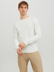 Мужской джемпер Jack & Jones 12236304*02, белый, 5715426951168 цена и информация | Мужские свитера | pigu.lt