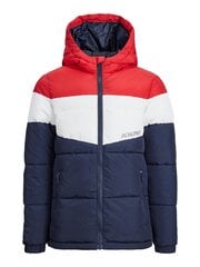 Детская куртка Jack & Jones 12236559*01, красная/белая 5715428083942 цена и информация | Куртка для мальчика | pigu.lt