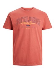 Детская футболка Jack & Jones 12237120*02, терракотовая, 5715428254595 цена и информация | Рубашка для мальчиков | pigu.lt