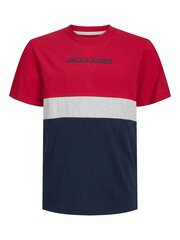 Детская футболка Jack & Jones 12237430*01, красная/серая, 5715425344176 цена и информация | Рубашки для мальчиков | pigu.lt