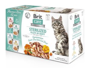 Brit Care įvairų skonių ėdalas, 12x85g kaina ir informacija | Konservai katėms | pigu.lt