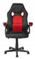 Žaidimų kėdė, juoda/raudona kaina ir informacija | Biuro kėdės | pigu.lt