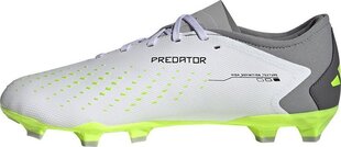 Бутсы футбольные Adidas Predator Accuracy.3 L FG, размер 42 2/3, серого/зеленого цвета цена и информация | Футбольные бутсы | pigu.lt
