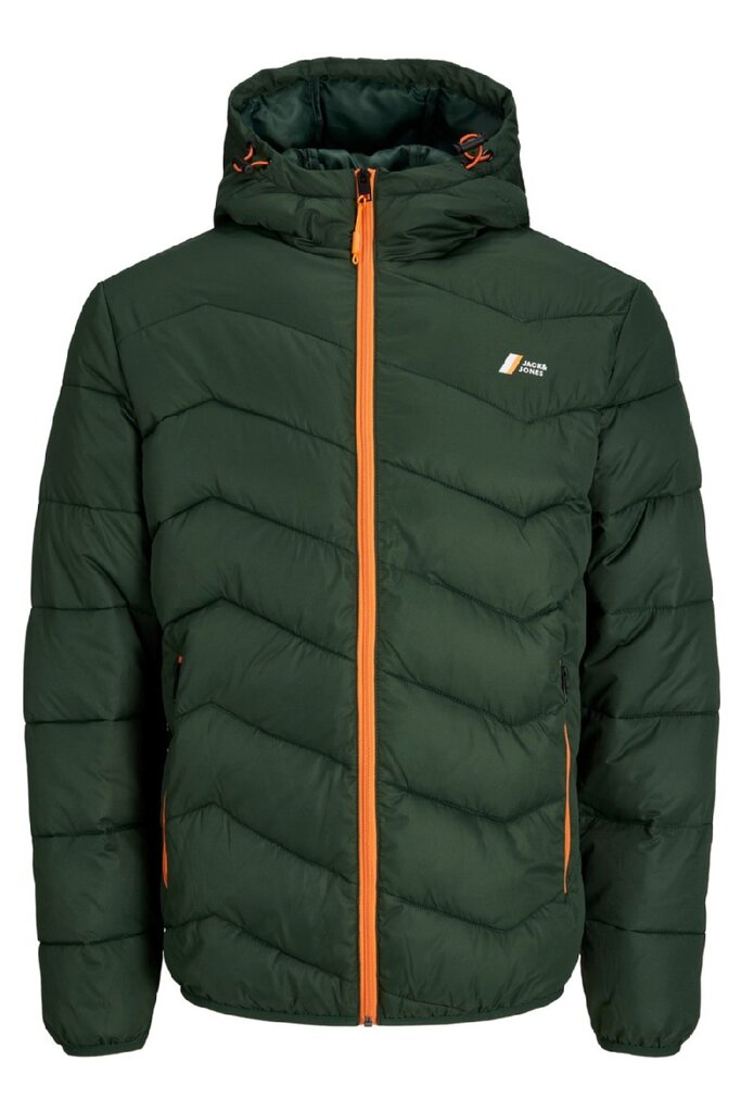 Striukė vyrams Jack & Jones 12236055MOUNTAINVIEW, žalia цена и информация | Vyriškos striukės | pigu.lt