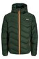 Striukė vyrams Jack & Jones 12236055MOUNTAINVIEW, žalia цена и информация | Vyriškos striukės | pigu.lt