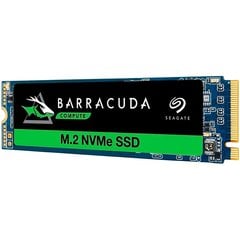 Seagate BarraCuda ZP250CV3A002 kaina ir informacija | Vidiniai kietieji diskai (HDD, SSD, Hybrid) | pigu.lt