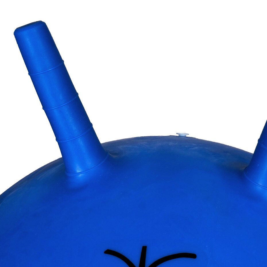 Šokinėjimo kamuolys Profit, 55 cm, mėlynas цена и информация | Gimnastikos kamuoliai | pigu.lt