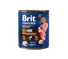 Brit Premium Nature su ėriena ir grikiais, 400 g kaina ir informacija | Konservai šunims | pigu.lt