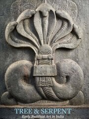 Tree & Serpent: Early Buddhist Art in India kaina ir informacija | Knygos apie meną | pigu.lt