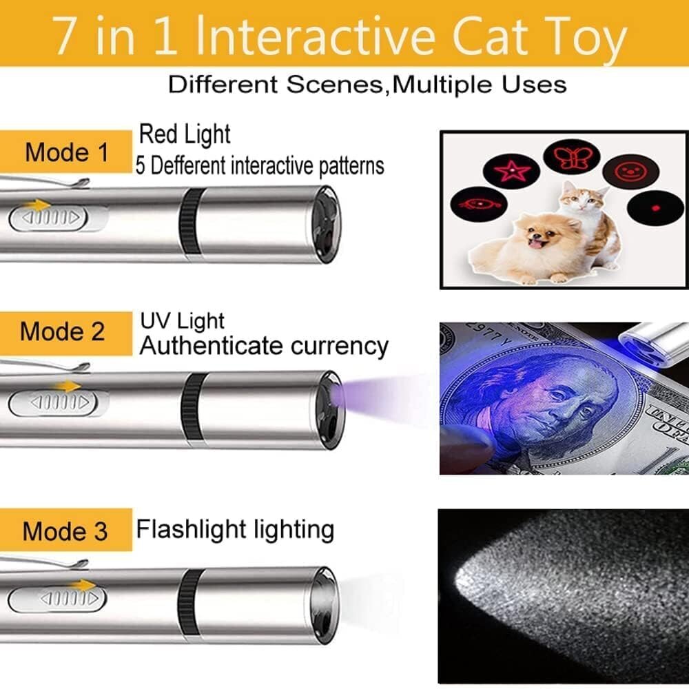 Interaktyvus lazerinis žaidimas augintiniams LED Laser Pointer kaina ir informacija | Žaislai katėms | pigu.lt