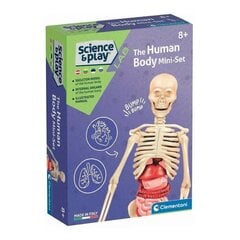 Развивающая игра Clementoni Human Body Mini цена и информация | Развивающие игрушки | pigu.lt