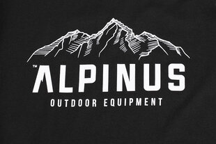 Alpinus Vyriški marškiniai Mountains FU18523 kaina ir informacija | Vyriški marškinėliai | pigu.lt